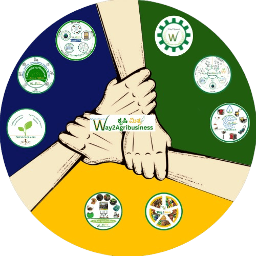 Online Services Logo